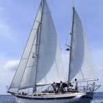 velero6